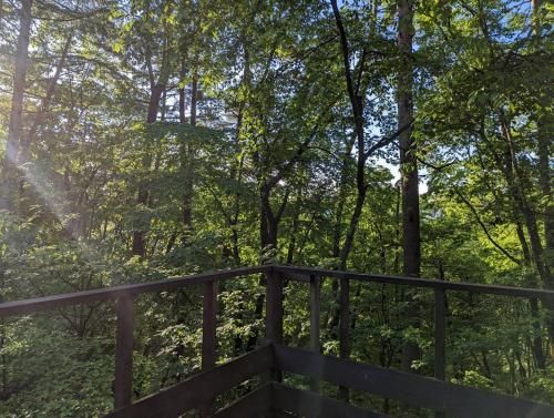 Outdoor Pictures 2