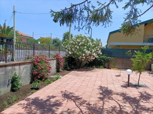 Outdoor Pictures 7