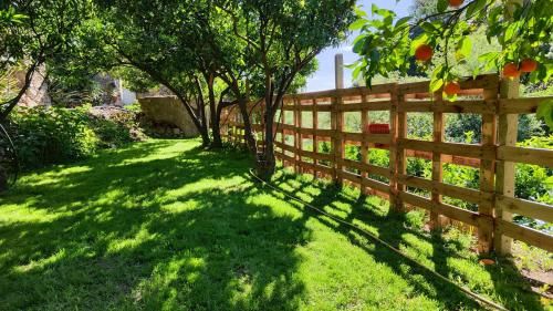 Outdoor Pictures 22