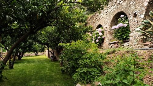 Outdoor Pictures 23