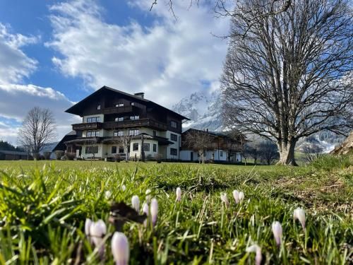Outdoor Pictures 20