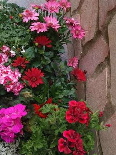 Outdoor Pictures 1