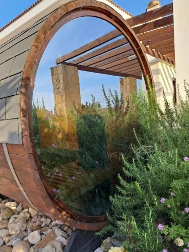 Outdoor Pictures 7