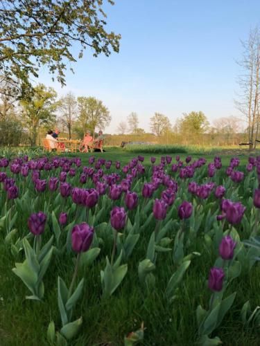 Outdoor Pictures 7