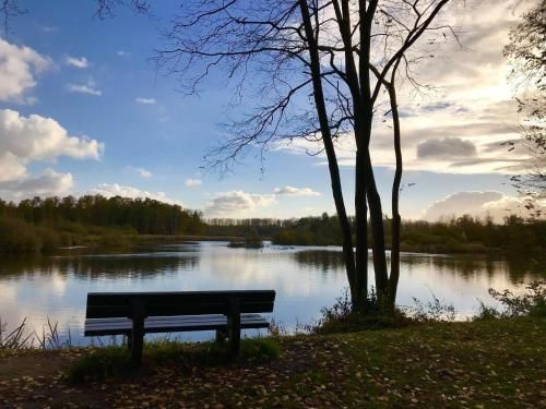 Outdoor Pictures 11