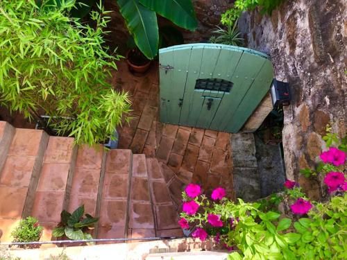 Outdoor Pictures 23