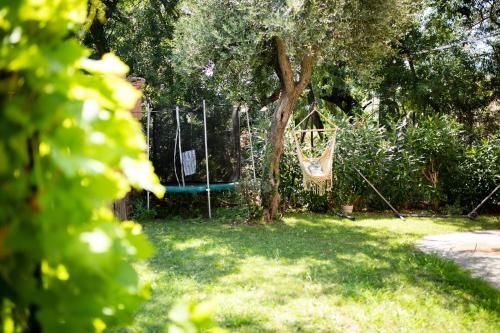 Outdoor Pictures 17