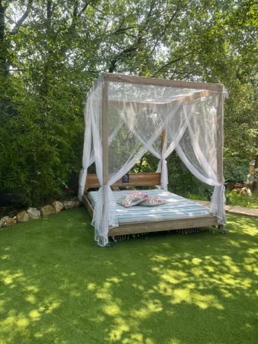 Outdoor Pictures 11
