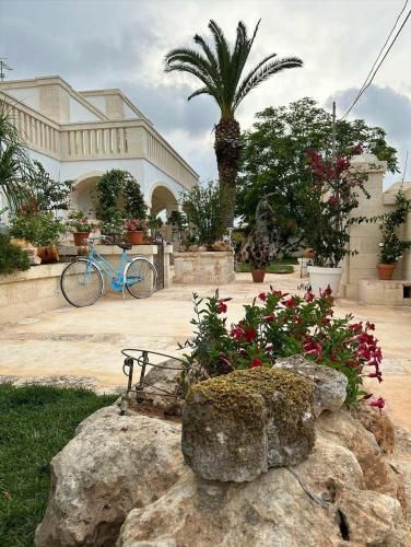 Outdoor Pictures 9