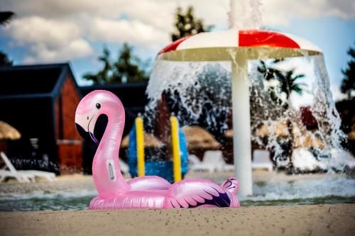 Outdoor Pictures 17