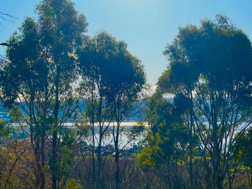 Outdoor Pictures 11