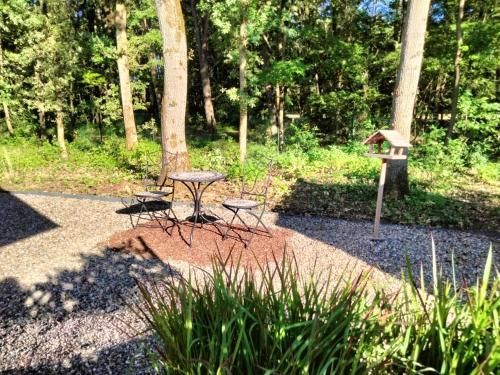 Outdoor Pictures 14