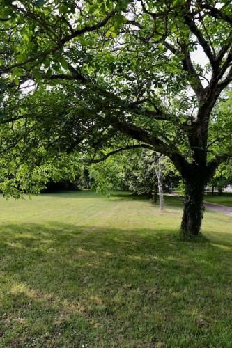 Outdoor Pictures 21