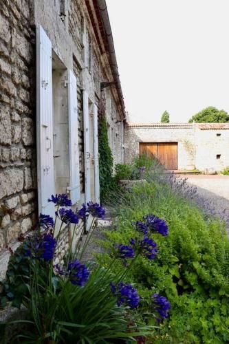 Outdoor Pictures 22