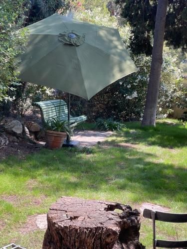Outdoor Pictures 21