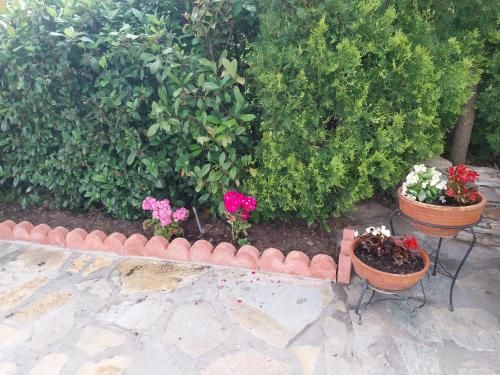 Outdoor Pictures 18