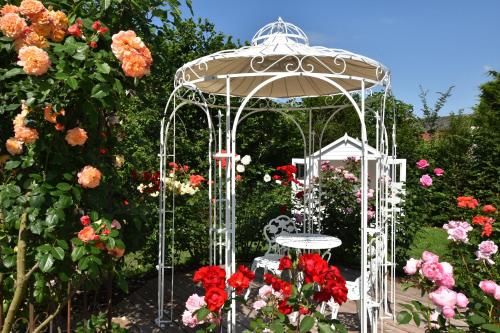 Outdoor Pictures 22