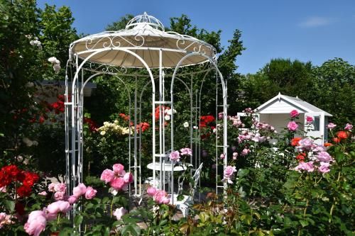 Outdoor Pictures 24