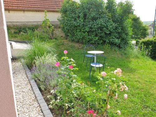 Outdoor Pictures 5