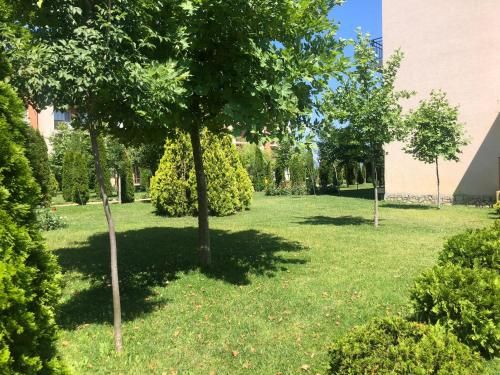 Outdoor Pictures 15