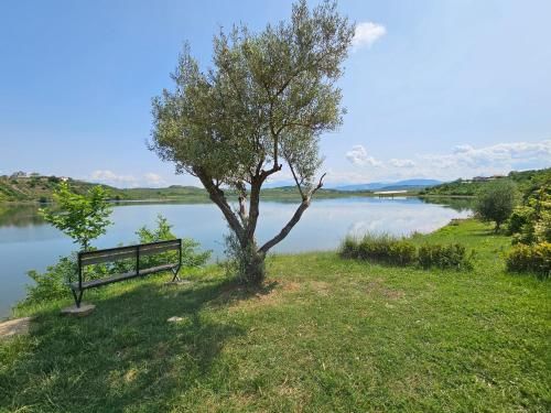 Outdoor Pictures 20