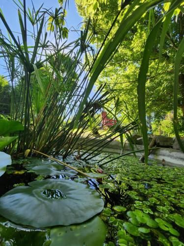 Outdoor Pictures 20