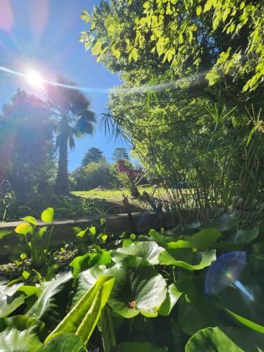 Outdoor Pictures 23