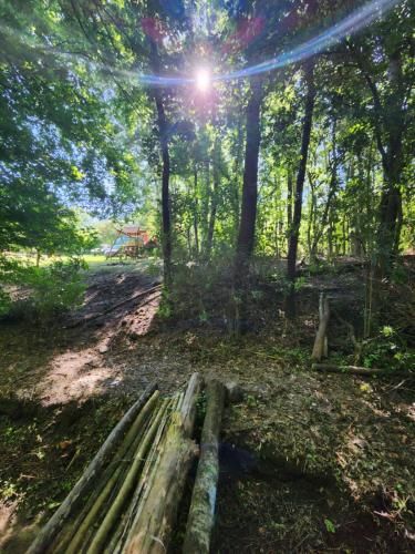 Outdoor Pictures 24
