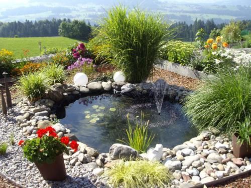 Outdoor Pictures 8