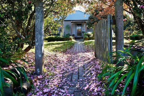 Outdoor Pictures 15