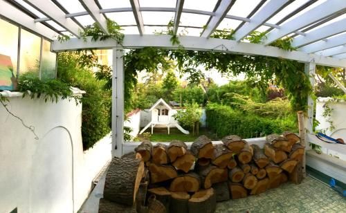 Outdoor Pictures 16