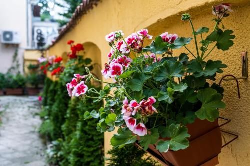 Outdoor Pictures 9