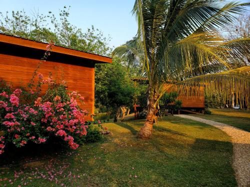 Outdoor Pictures 7