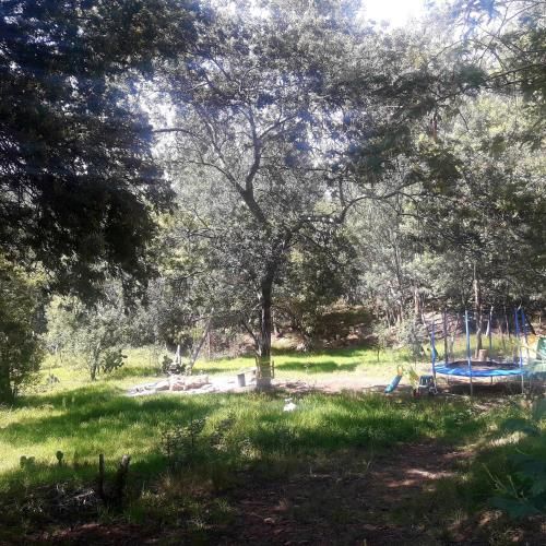 Outdoor Pictures 5