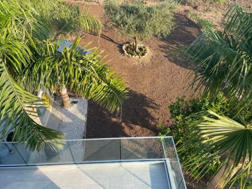 Outdoor Pictures 7