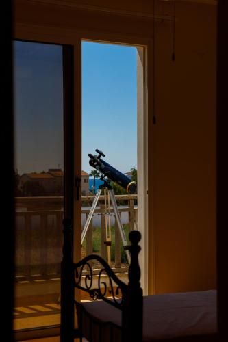 Outdoor Pictures 23