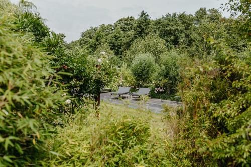 Outdoor Pictures 22