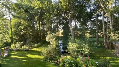 Outdoor Pictures 15