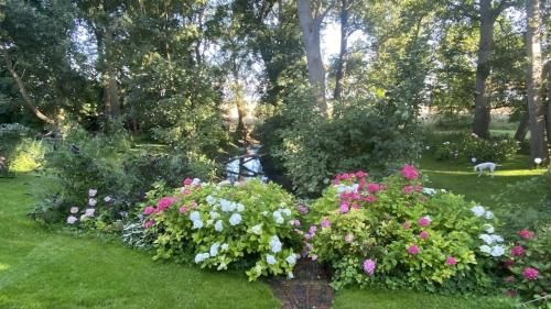 Outdoor Pictures 23