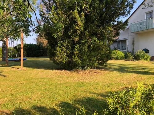 Outdoor Pictures 3