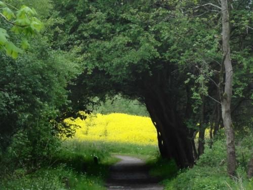 Outdoor Pictures 7