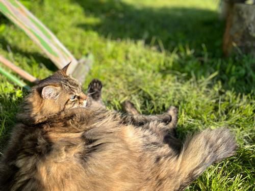 Outdoor Pictures 7