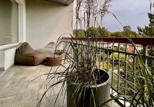 Outdoor Pictures 11