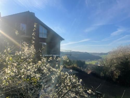 Outdoor Pictures 1