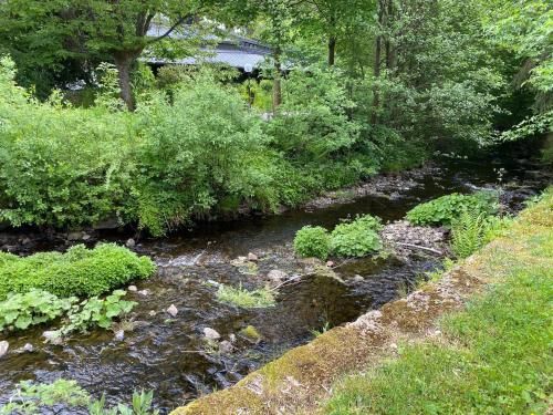 Outdoor Pictures 17