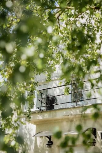 Outdoor Pictures 22