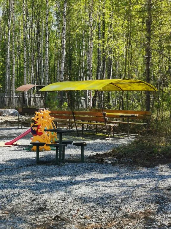 Outdoor Pictures 9