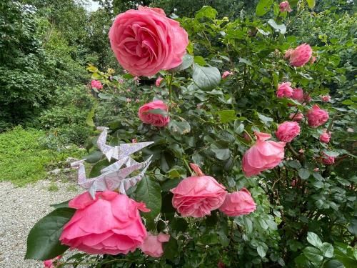 Outdoor Pictures 23
