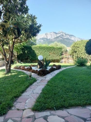 Outdoor Pictures 9