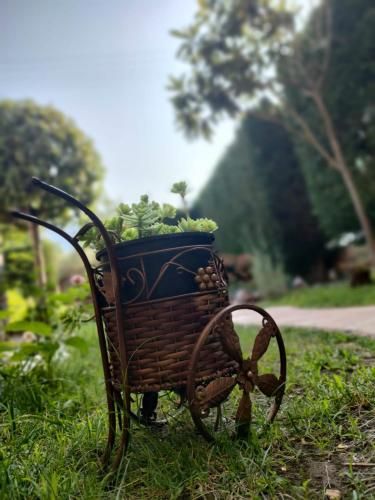 Outdoor Pictures 11
